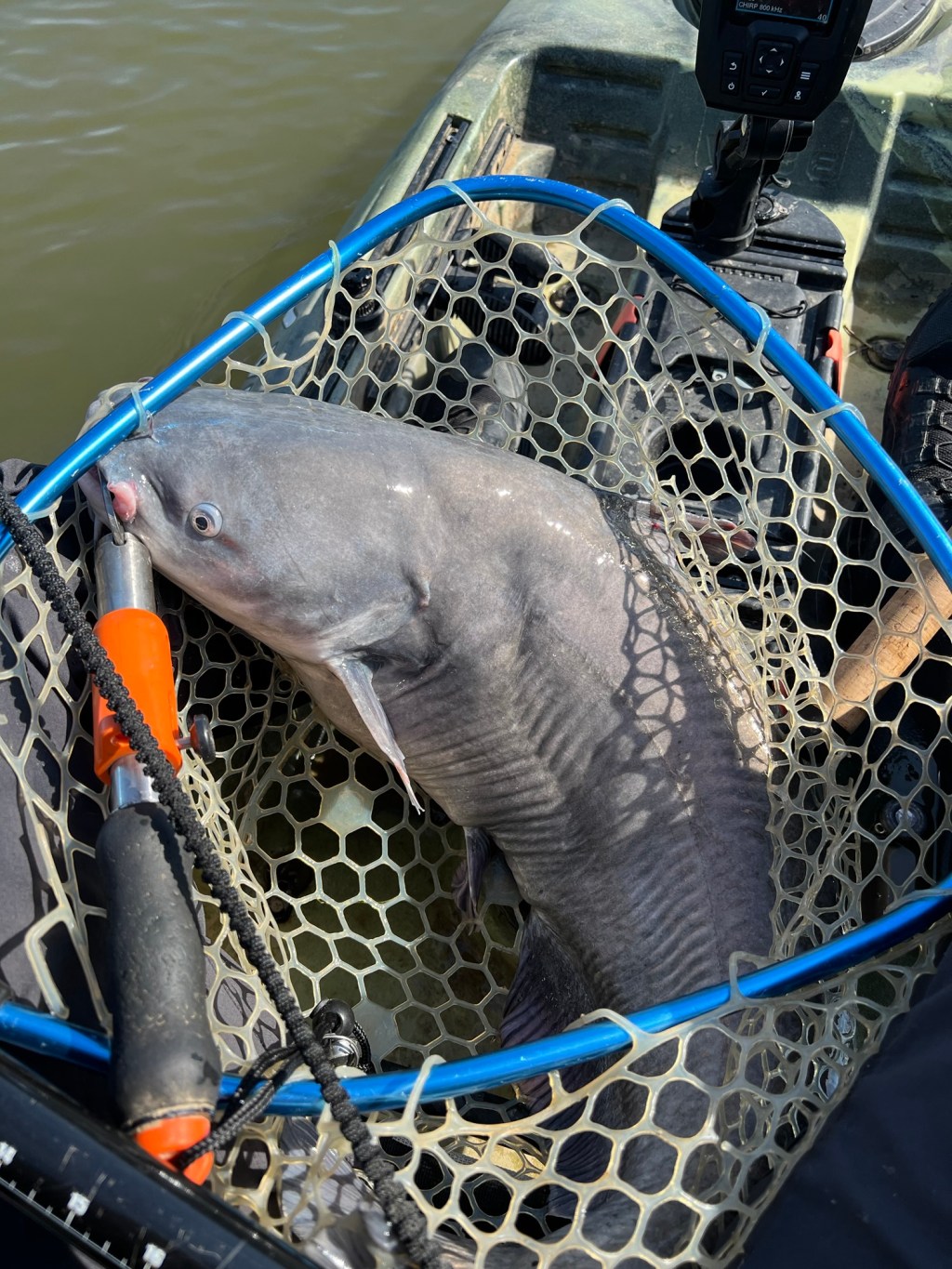 Whisker Seeker Tackle Lockjaw Catfish Grips&nbsp;Review